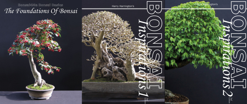 bonsai books